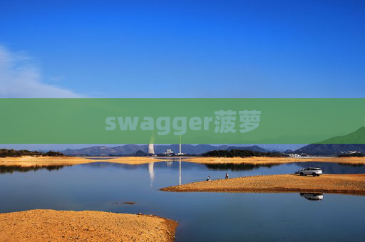 swagger菠萝 swagger菠萝